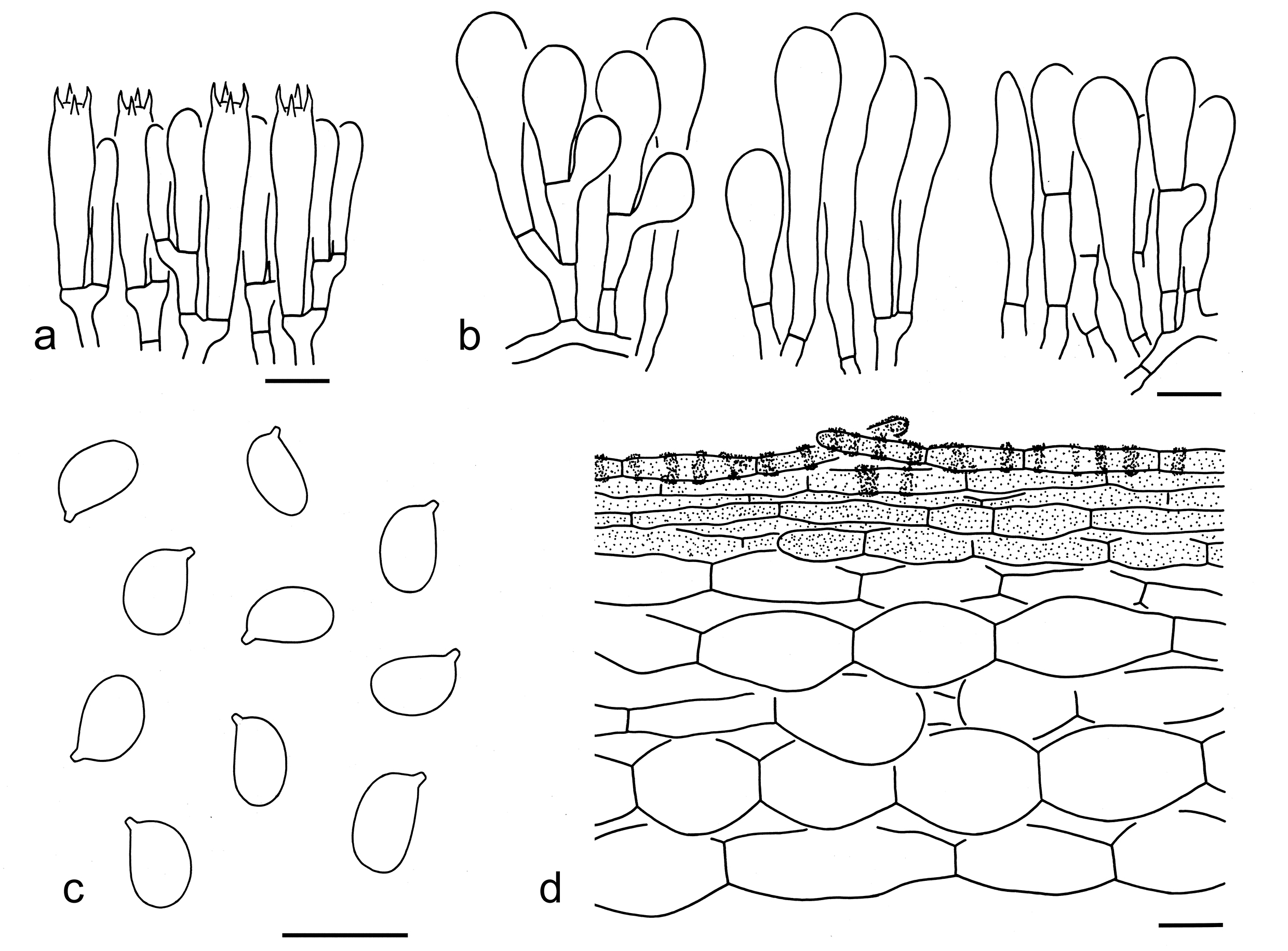 Figure 97